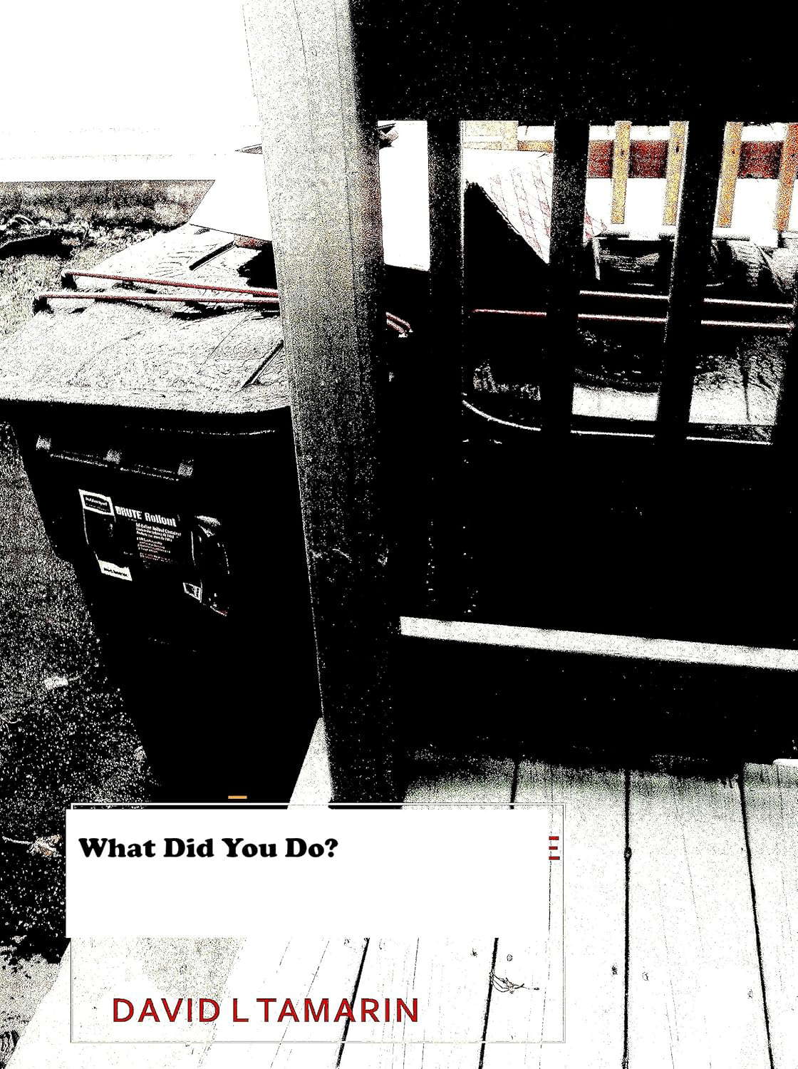 What Did You Do? poster