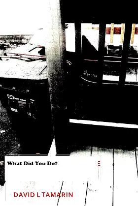 What Did You Do? poster