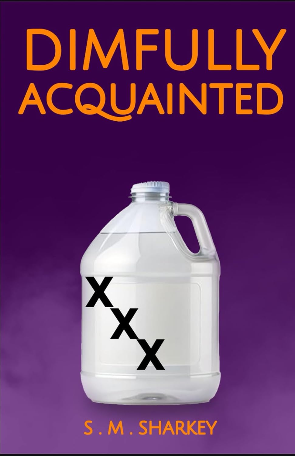 Dimfully Acquainted poster