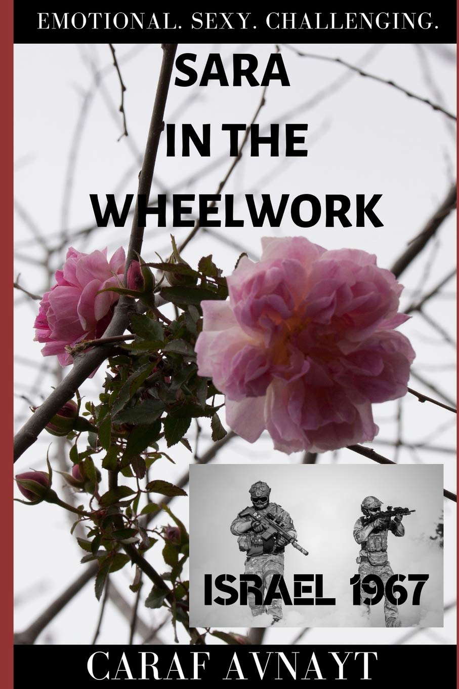 SARA IN THE WHEELWORK: A Secret Battle; A Hidden Enemy poster