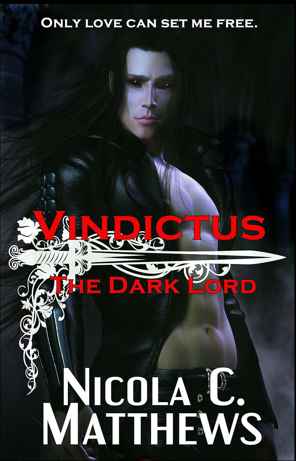 Vindictus, The Dark Lord: an Enemies to Lovers Dark Romance novel poster