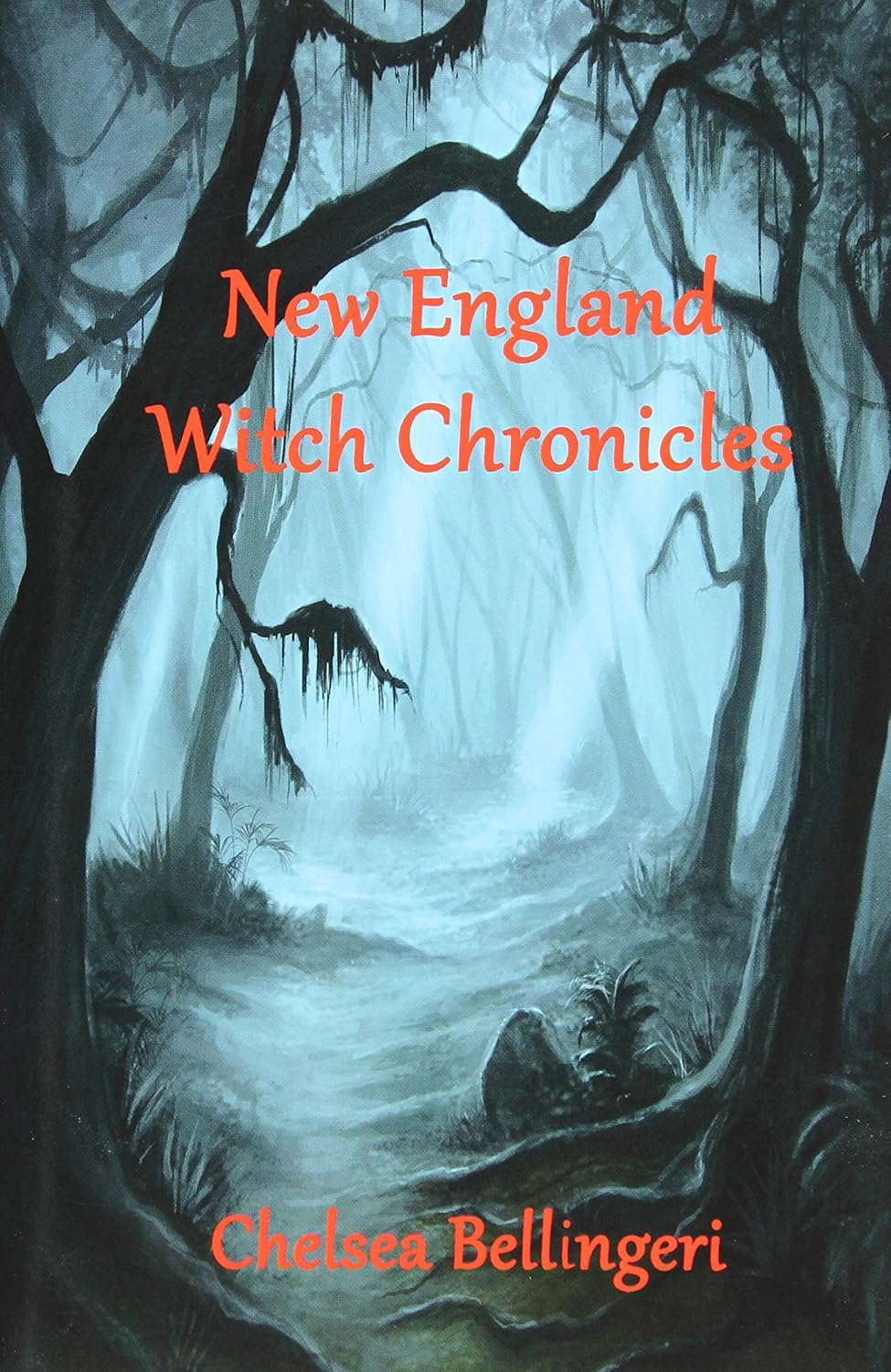 New England Witch Chronicles poster