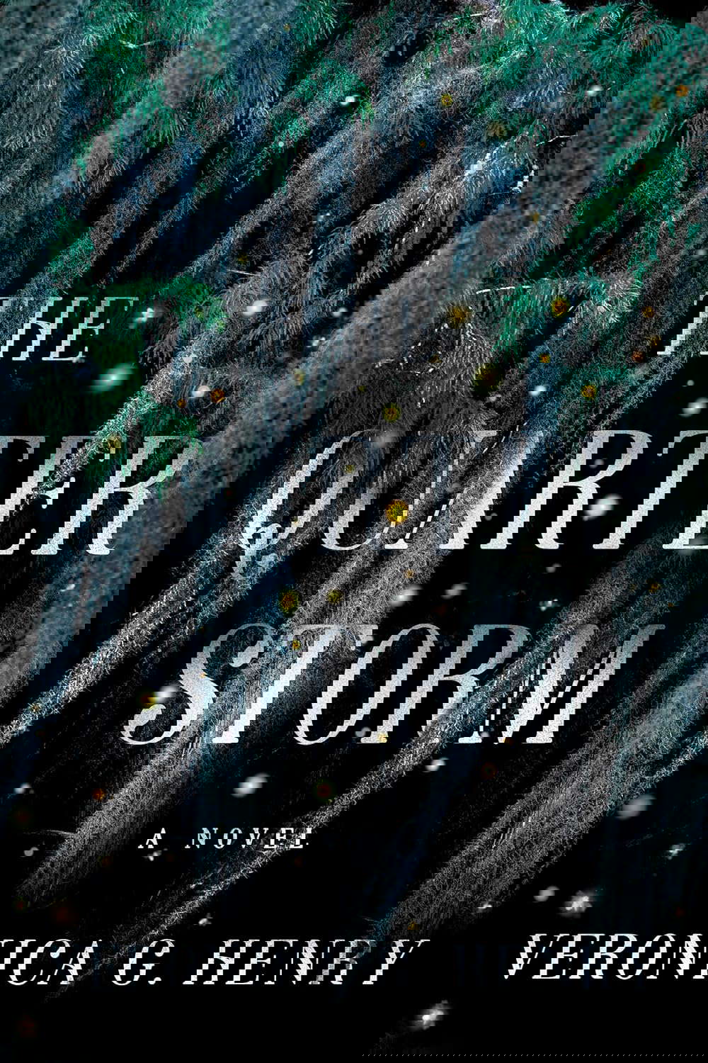 The Quarter Storm: A Novel (Mambo Reina) poster