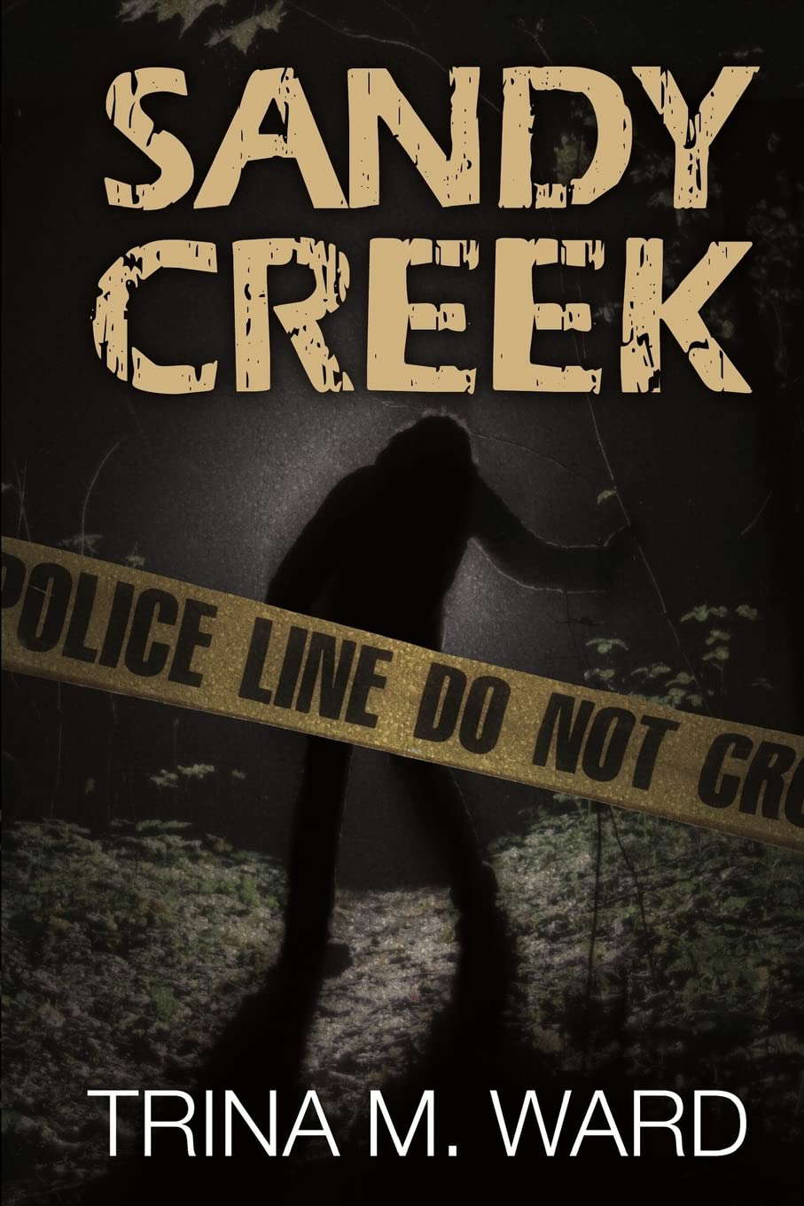 Sandy Creek poster