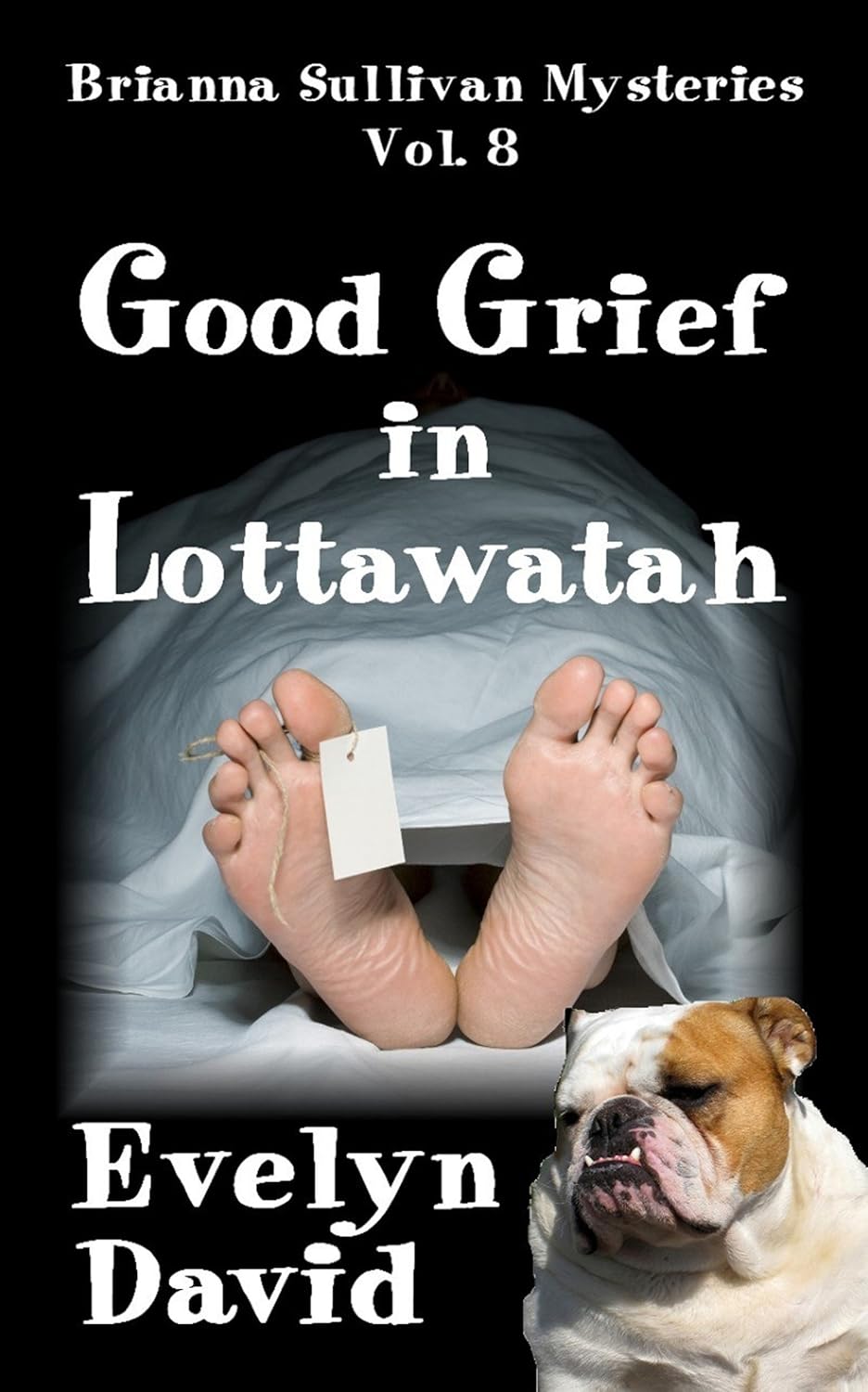 Good Grief in Lottawatah (Brianna Sullivan Mysteries series Book 8) poster
