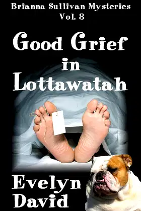 Good Grief in Lottawatah (Brianna Sullivan Mysteries series Book 8) poster