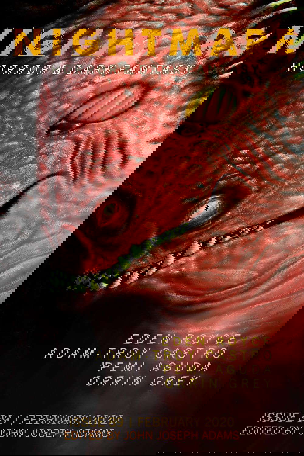 Nightmare Magazine, Issue 89 (February 2020) poster