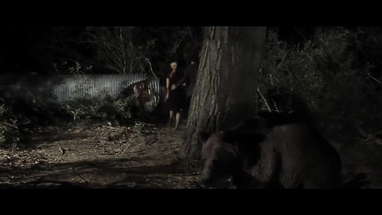 Bear - Official HD Trailer poster