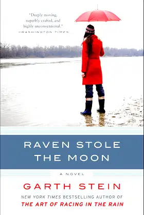 Raven Stole the Moon: A Novel poster