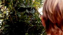 episode poster