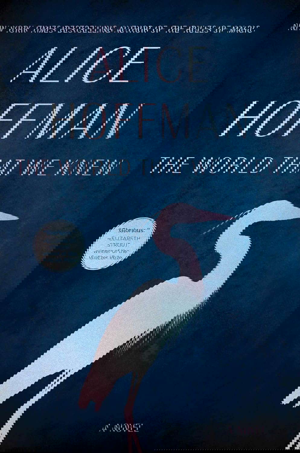 The World That We Knew: A Novel poster