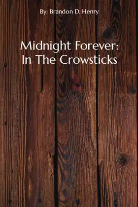 Midnight Forever: In The Crowsticks poster