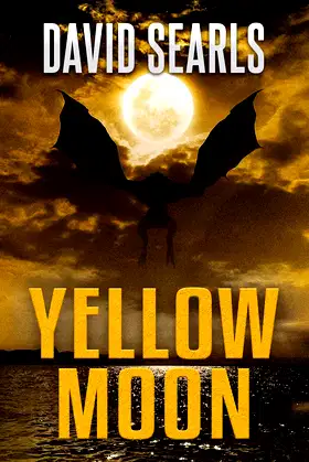 Yellow Moon poster