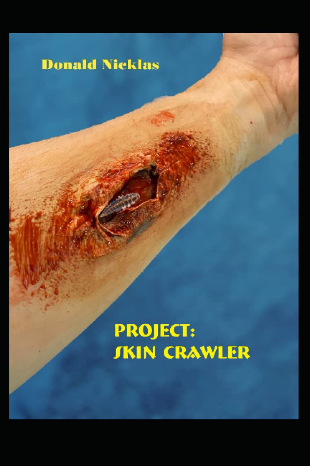 Project: Skin Crawler poster