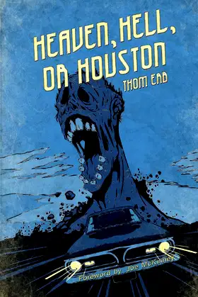 Heaven, Hell, or Houston poster