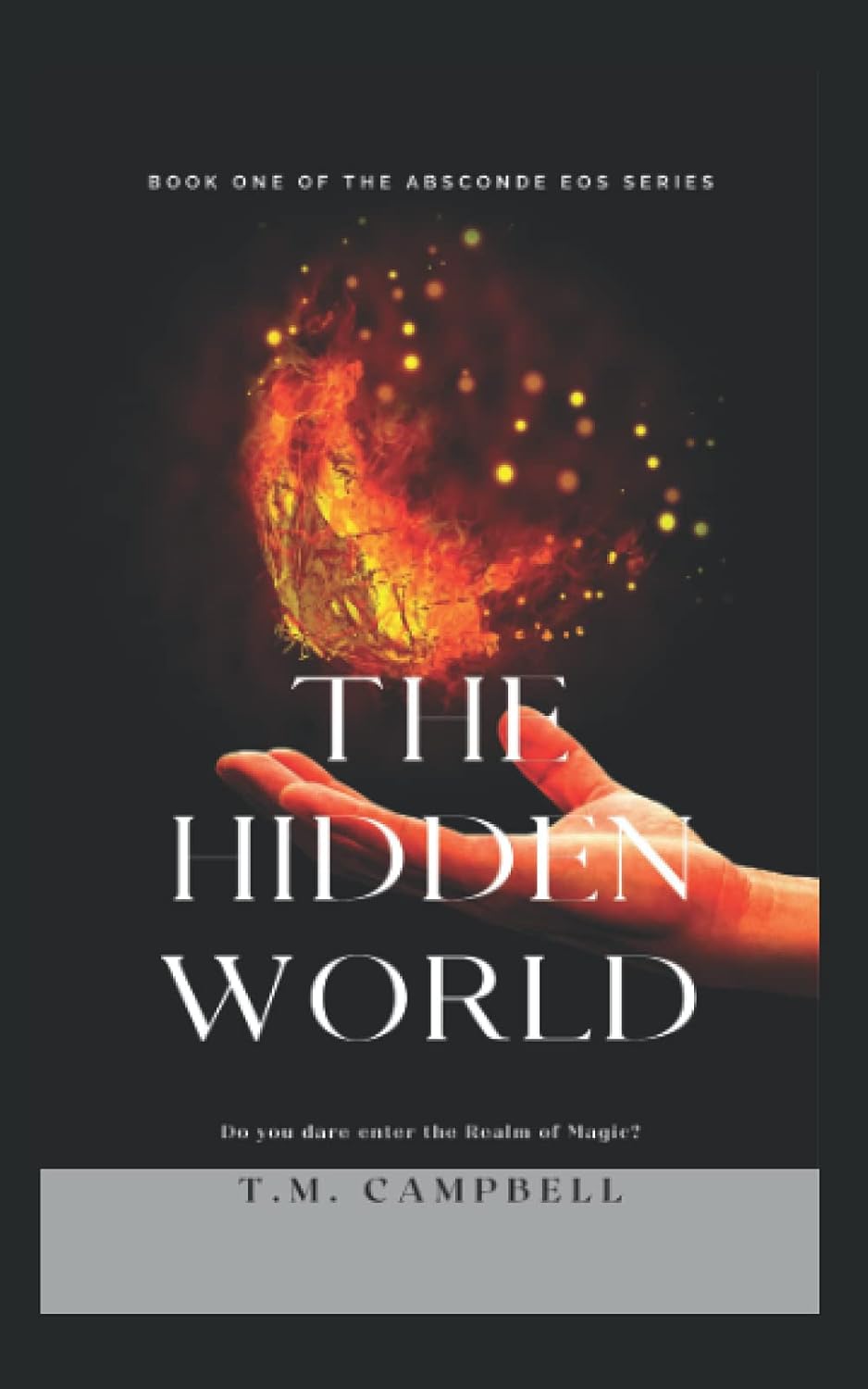 The Hidden World: Book One in the Absconde Eos Series poster