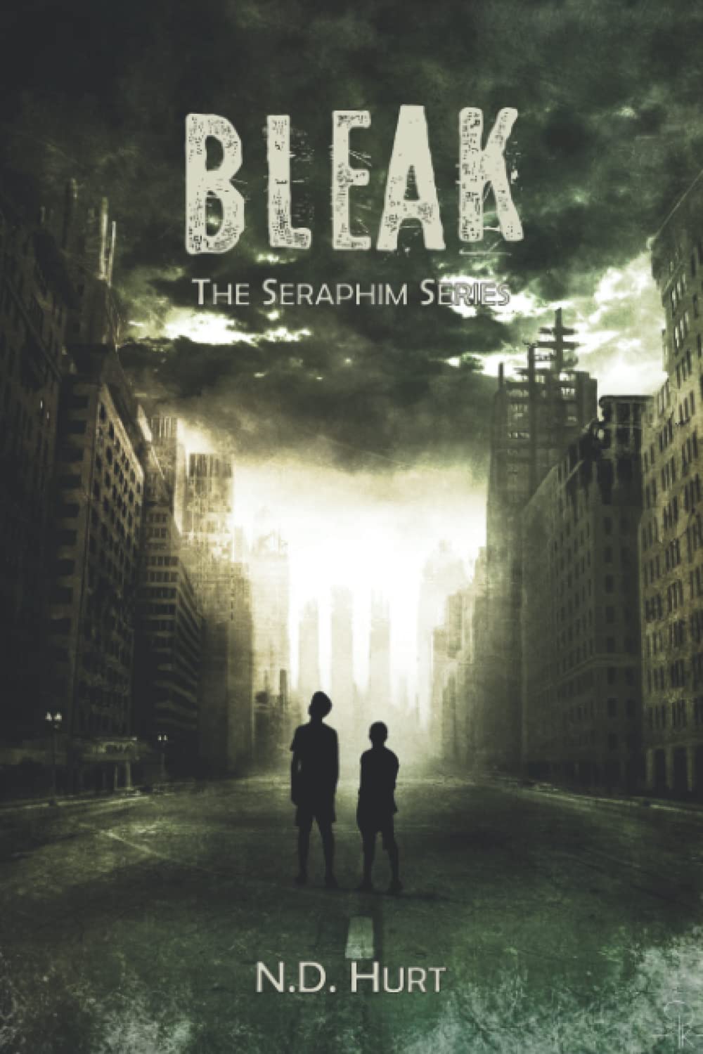 Bleak poster
