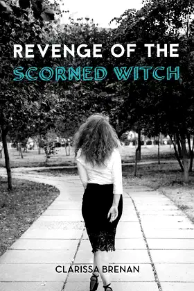 Revenge of The Scorned Witch poster