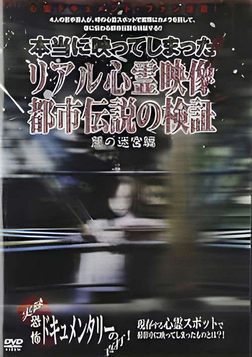 Investigation of Real Supernatural Footage and Urban Legends: Labyrinth of Darkness Edition poster
