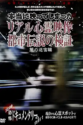 Investigation of Real Supernatural Footage and Urban Legends: Labyrinth of Darkness Edition poster