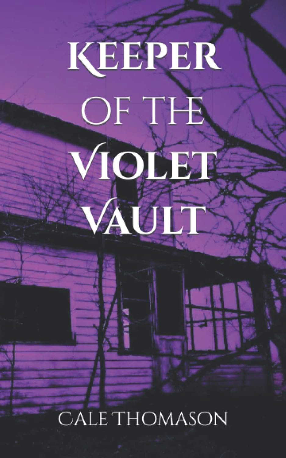 Keeper of the Violet Vault poster