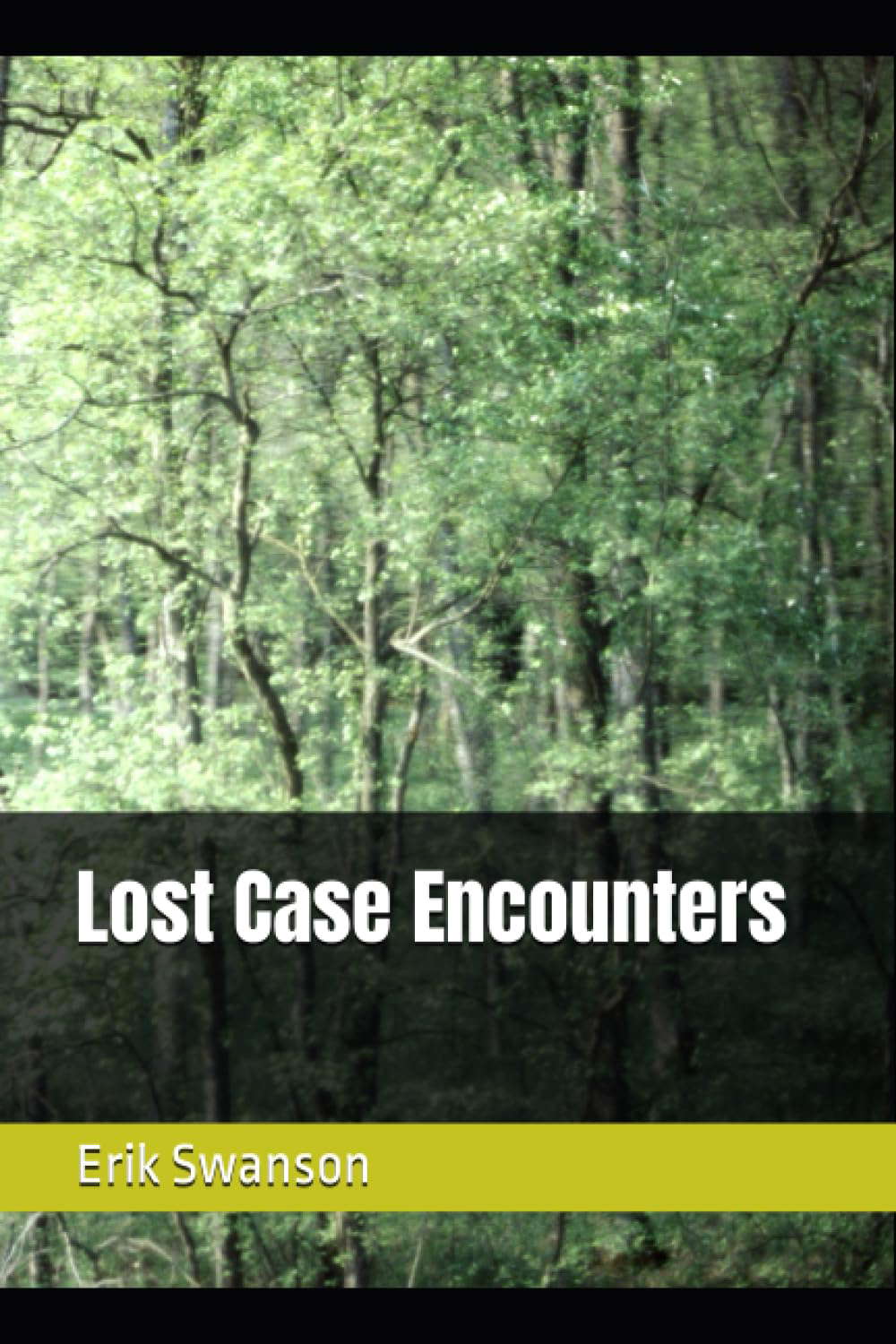 Lost Case Encounters poster