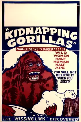 Love Life of a Gorilla poster