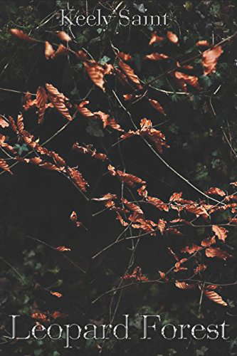 Leopard Forest poster
