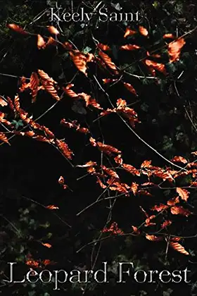 Leopard Forest poster
