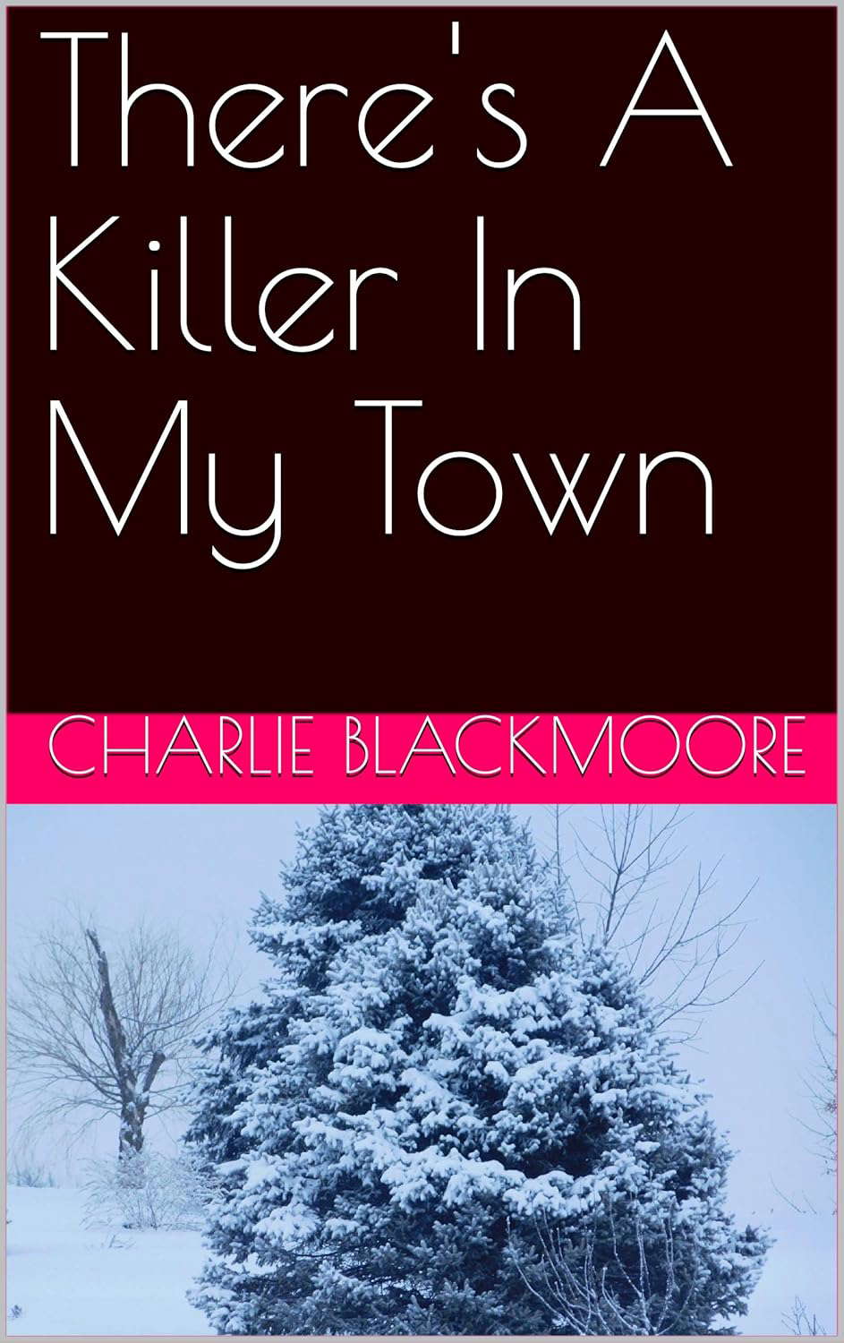 There's A Killer In My Town poster