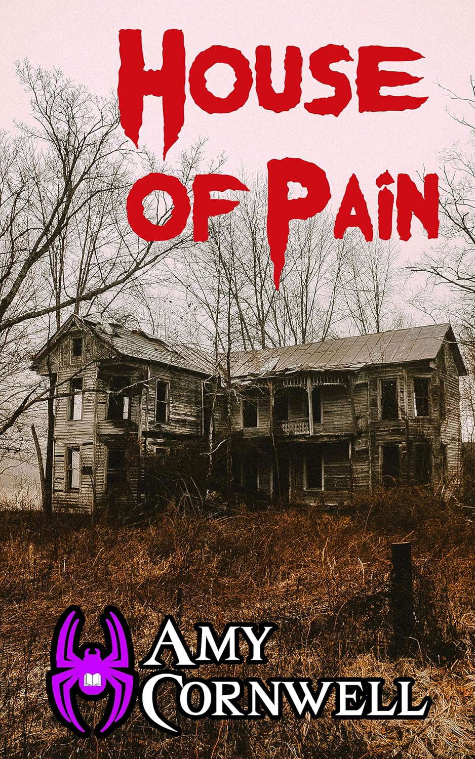 House of Pain poster