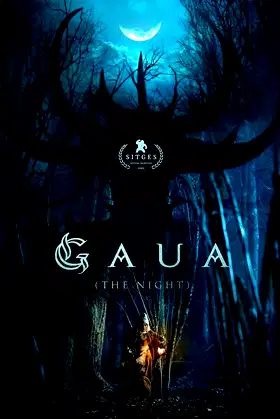 Gaua (The Night) poster