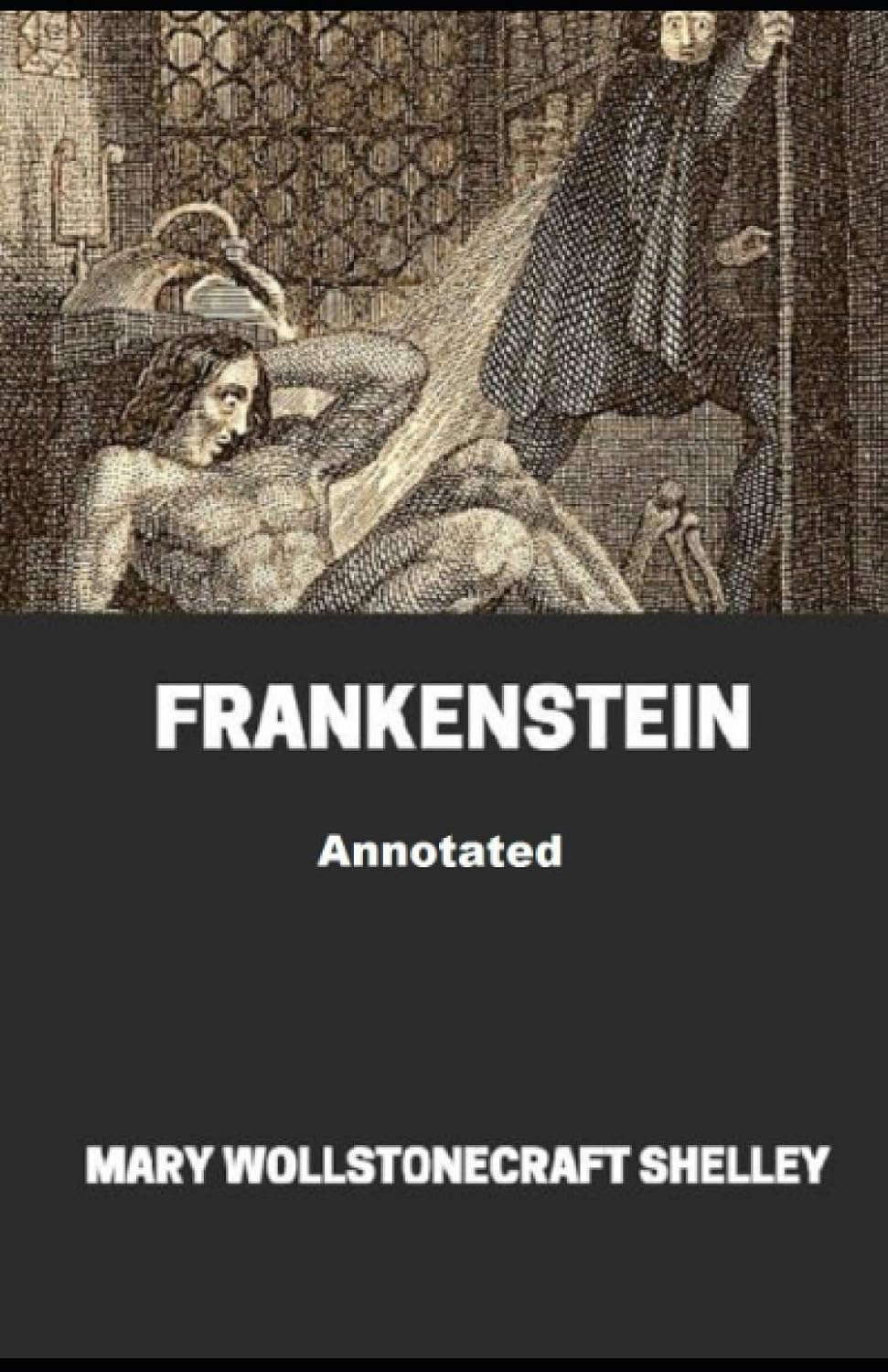 Frankenstein Annotated poster