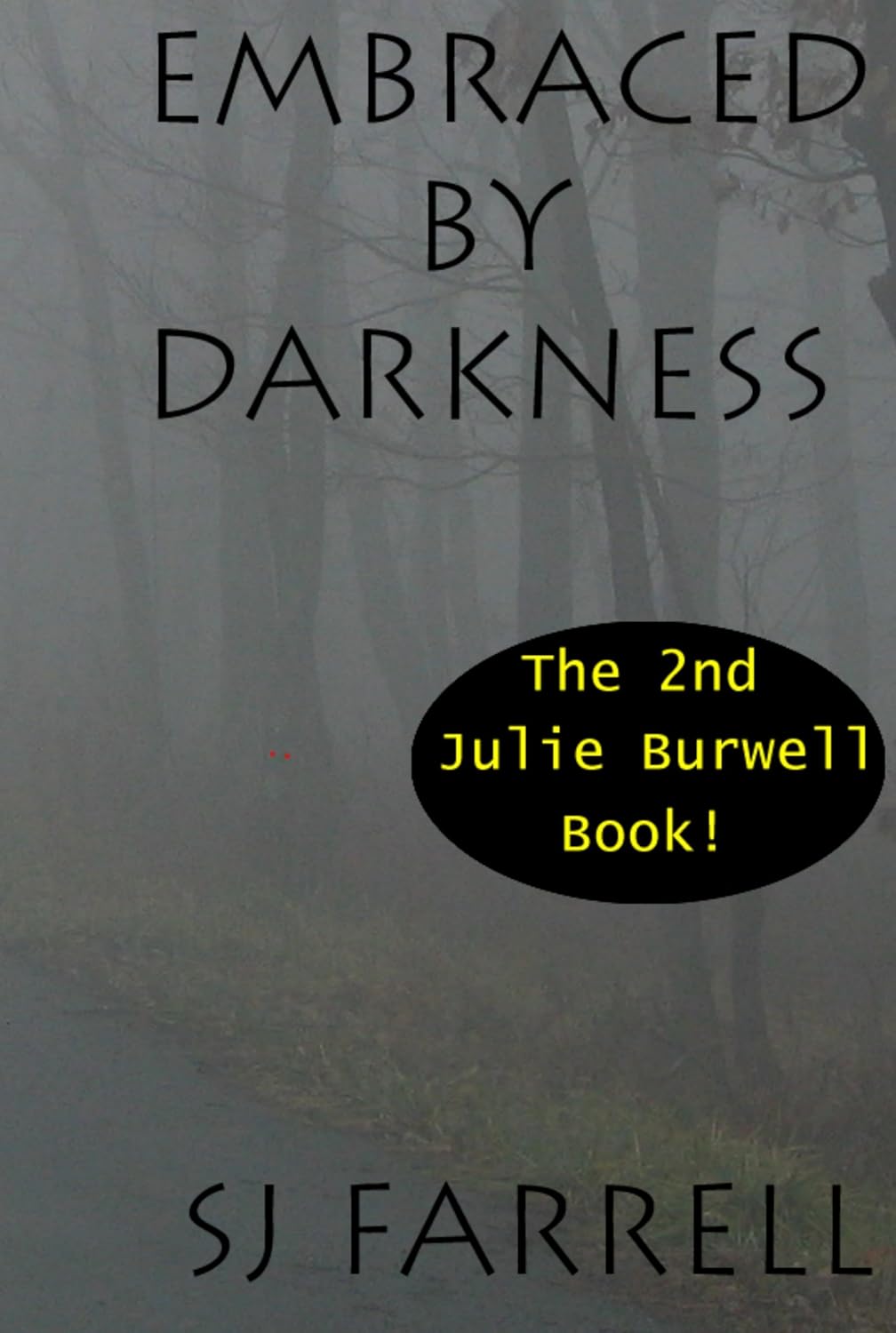 Embraced By Darkness (Julie Burwell Book 2) poster
