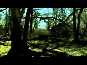 Hombre Y Tierra (The Woodsman) Found Footage Trailer poster