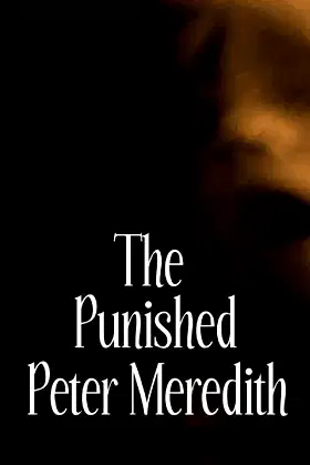 The Punished poster