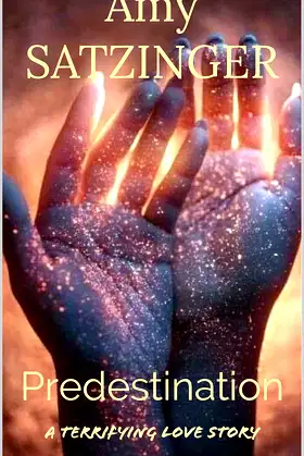 Predestination: A Terrifying Love Story poster