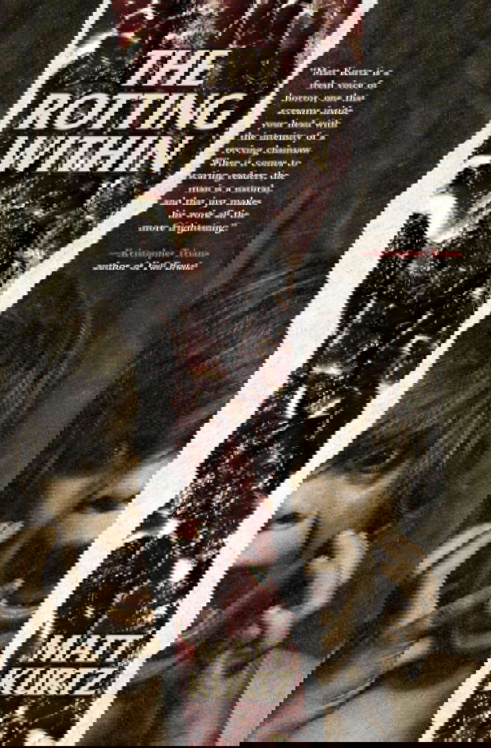 The Rotting Within poster