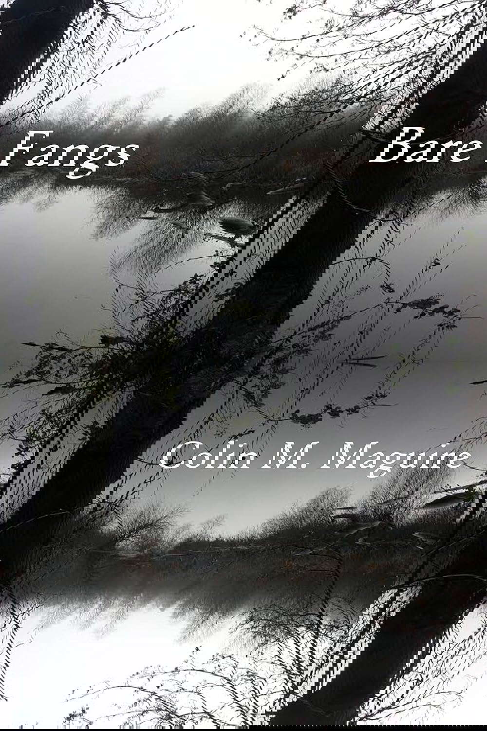 Bare Fangs: Short Stories poster