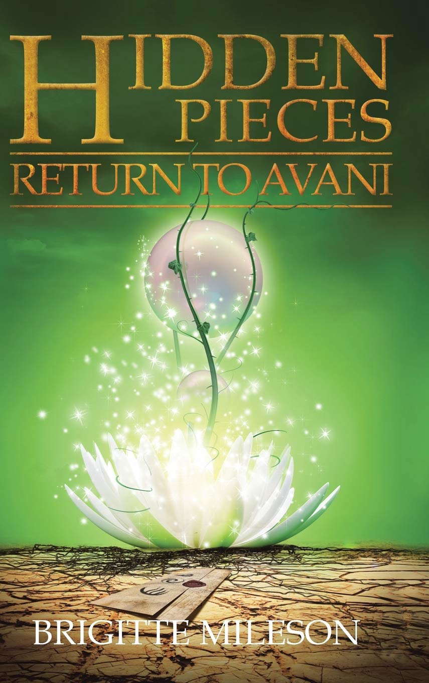 Hidden Pieces: Return to Avani poster