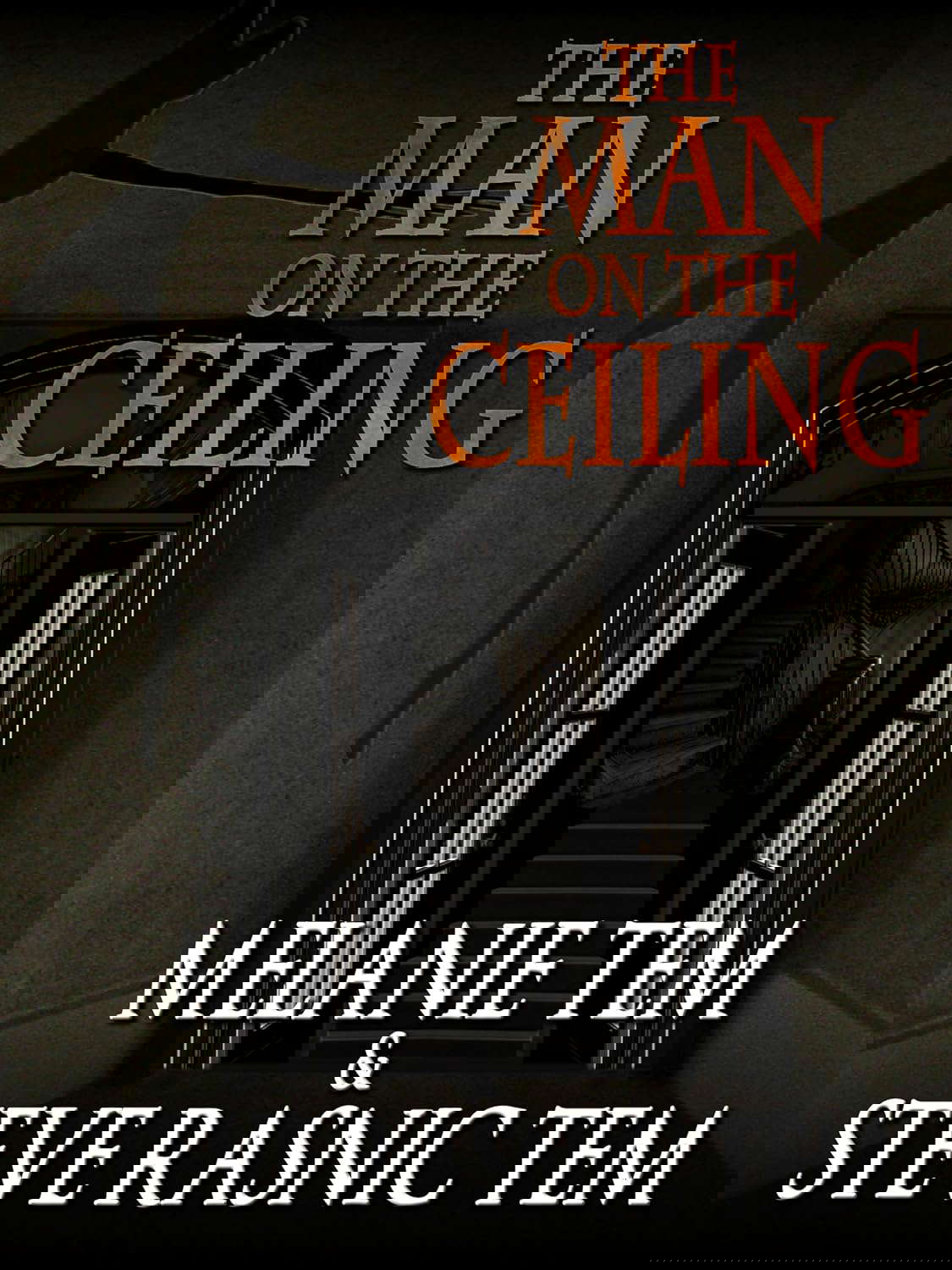 The Man on the Ceiling poster