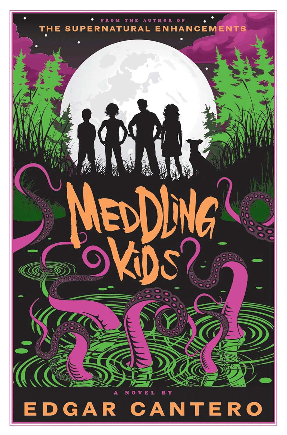 Meddling Kids: A Novel poster