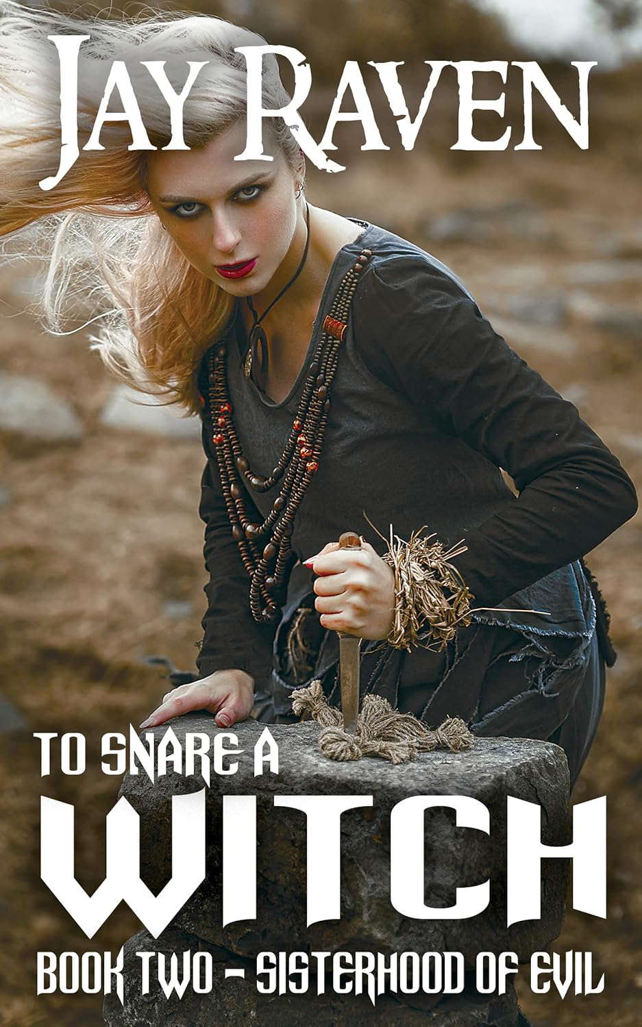 To Snare A Witch: Book Two - Sisterhood of Evil poster
