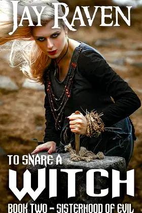 To Snare A Witch: Book Two - Sisterhood of Evil poster