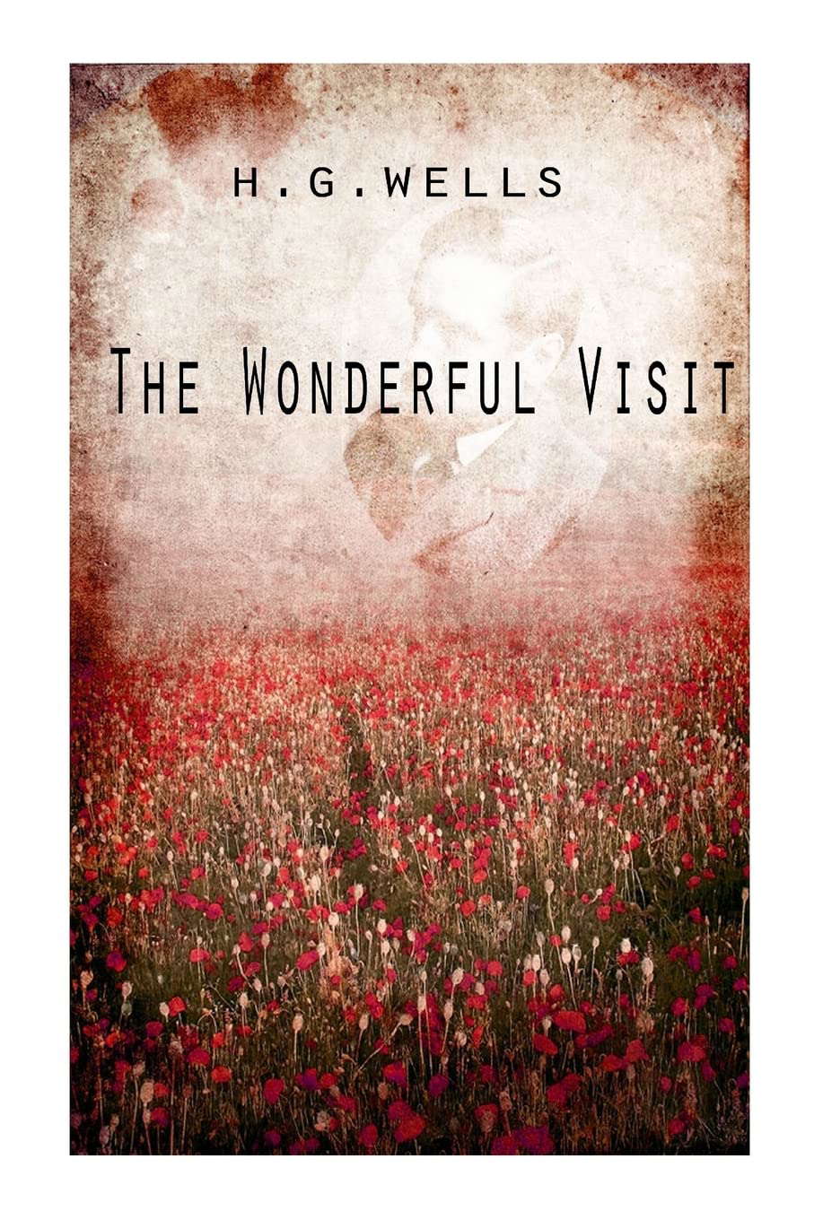 The Wonderful Visit poster