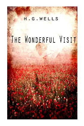 The Wonderful Visit poster