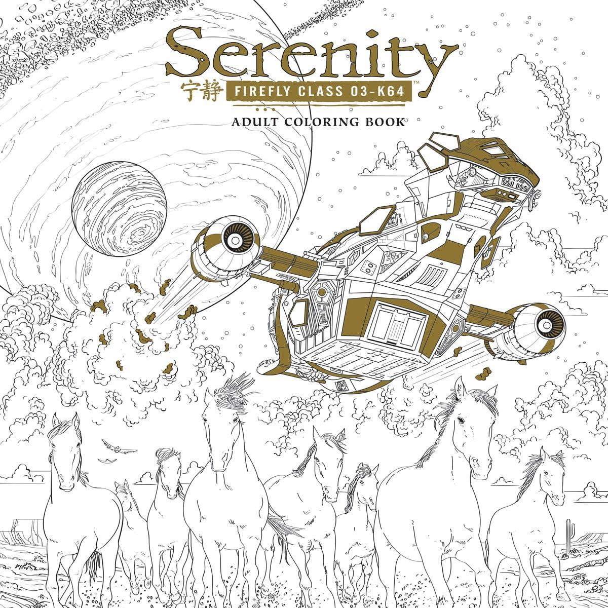 Serenity Adult Coloring Book poster