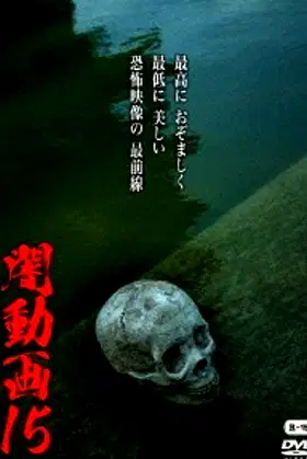 Tokyo Videos of Horror 15 poster