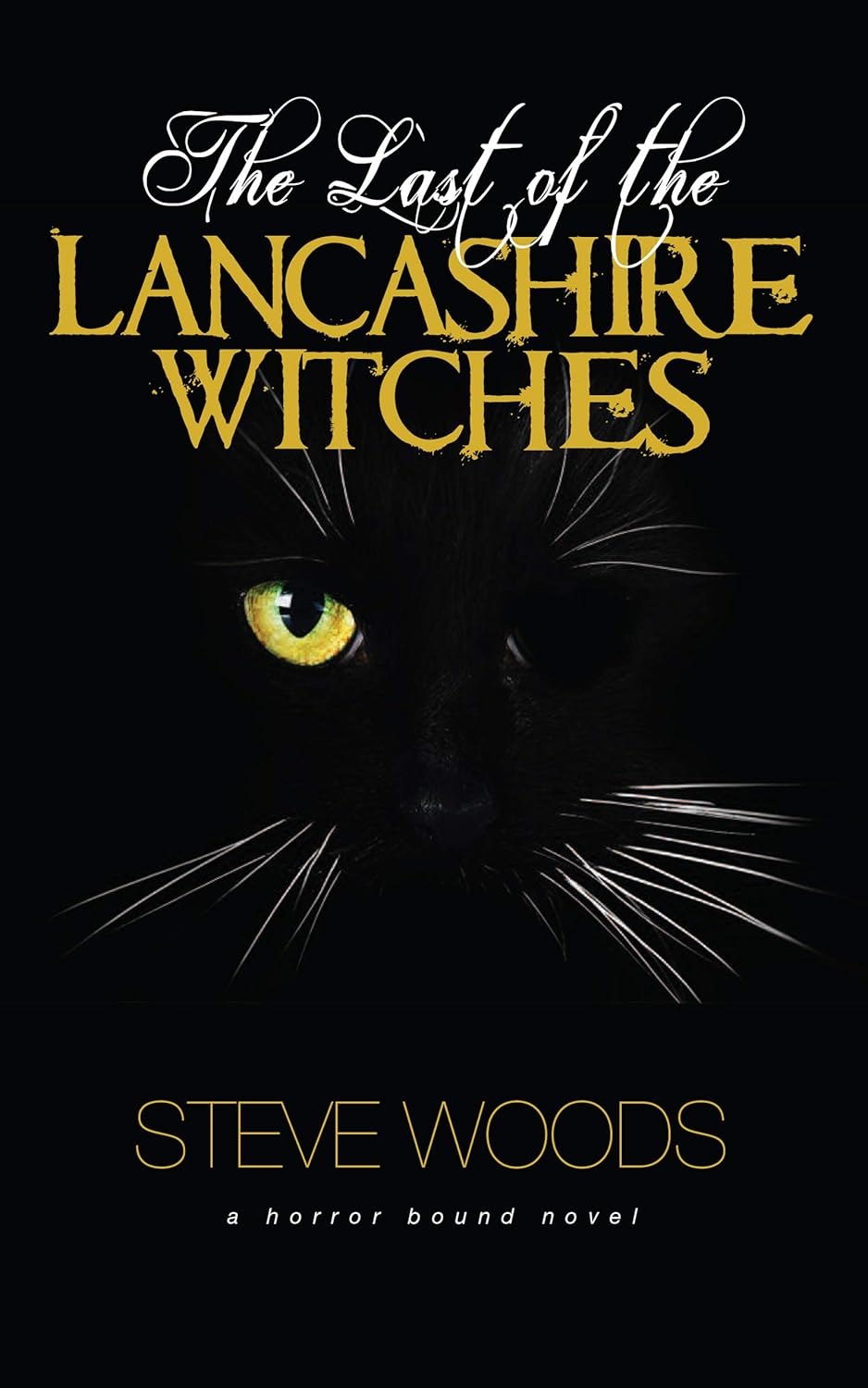 The Last of the Lancashire Witches (Inspector Meadowbank Investigates) poster