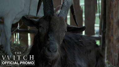 Black Phillip - Official Promo poster